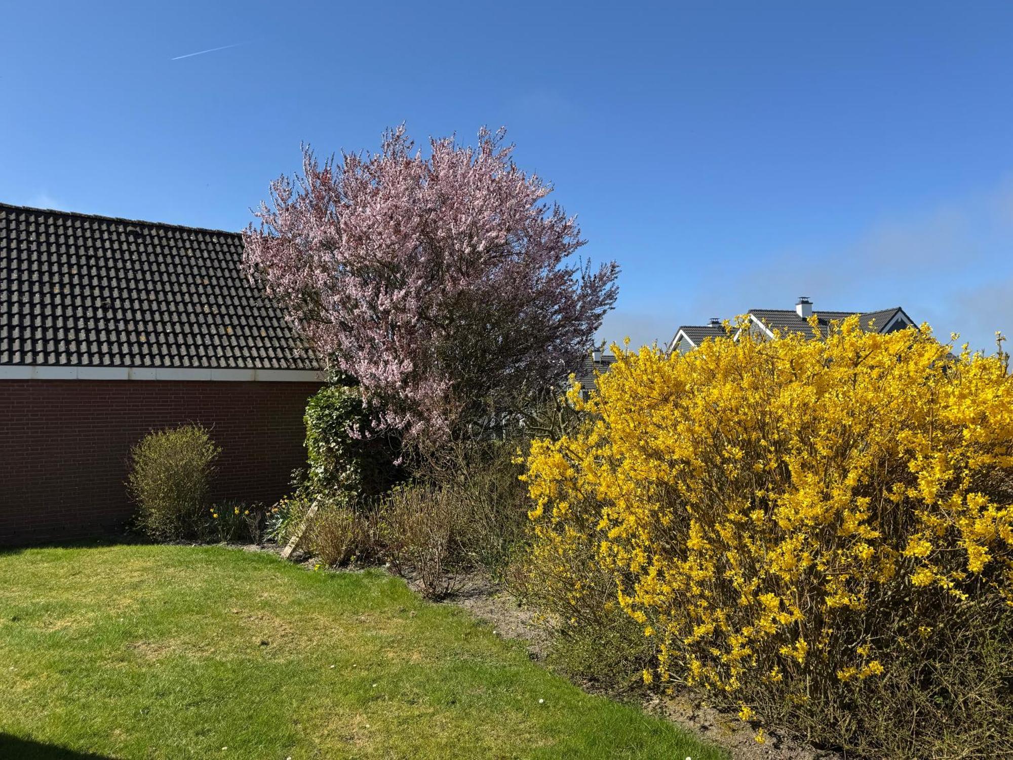 Haus Nordstrand Büsum Camera foto