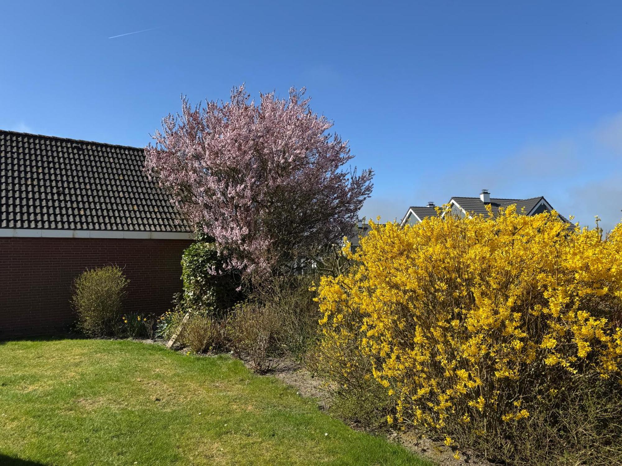Haus Nordstrand Büsum Esterno foto